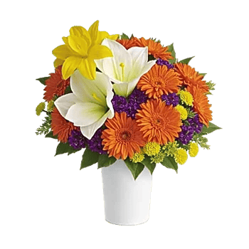 Petal Radiance Bliss