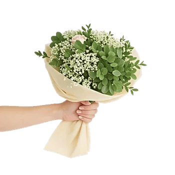 Ivory Garden Grace