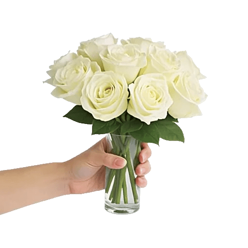 Ivory Blossom Radiance