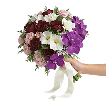 Delicate Petal Cascade