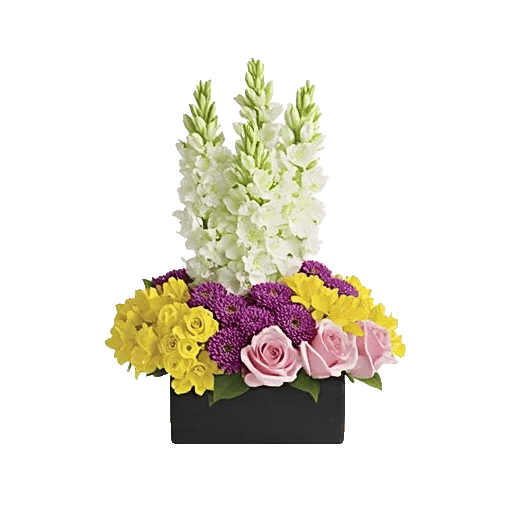 Modern White Orchids