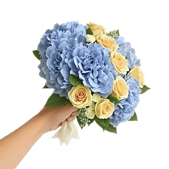 Elegant Blue Roses