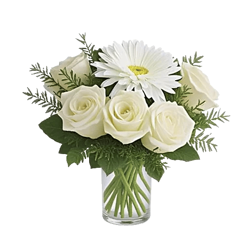 Minimalist White Orchids