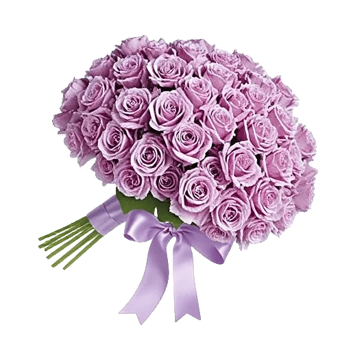 Lavender Bloom Grace