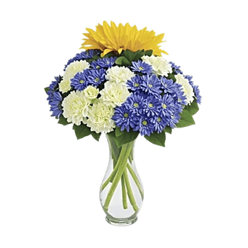 Radiant Bloom Cascade