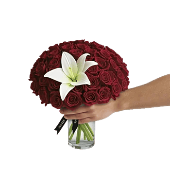 Crimson Rose Elegance