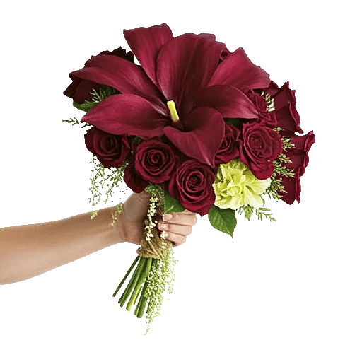 Elegant Calla Lilies