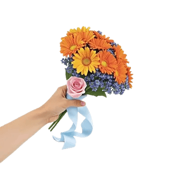 Petal Harmony Bliss