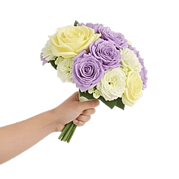 Blushing Rose Symphony