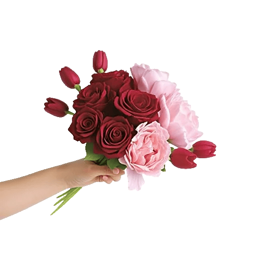Peony Petal Harmony