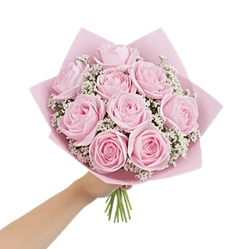 Peony Petal Harmony