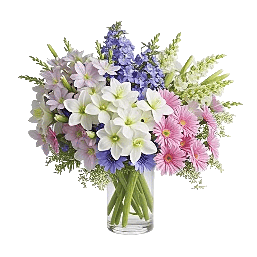 Ivory Blossom Radiance