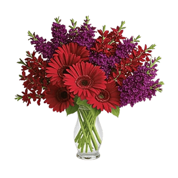 Crimson Blossom Harmony