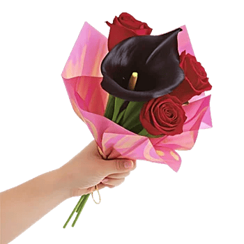 Elegant Calla Lilies