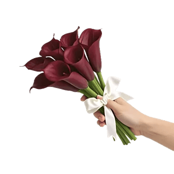 Elegant Calla Lilies