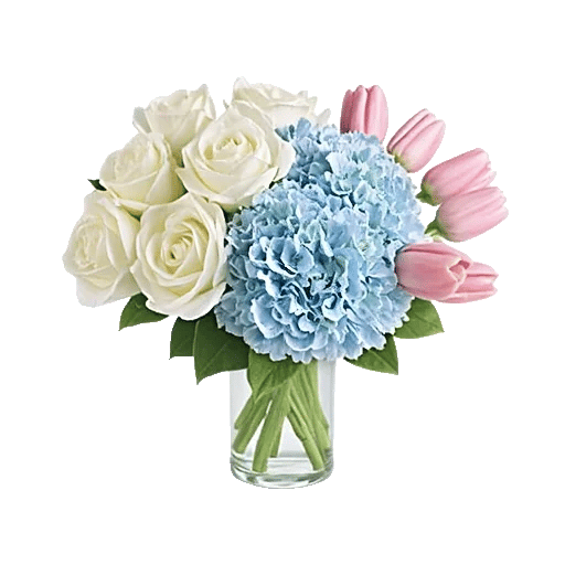 Ivory Blossom Radiance