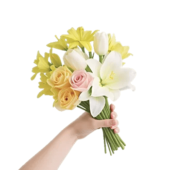 Blossom Harmony Display