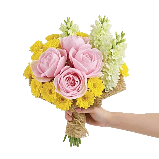 Peony Petal Harmony