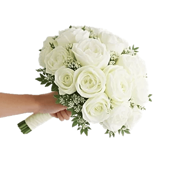 Ivory Blossom Radiance