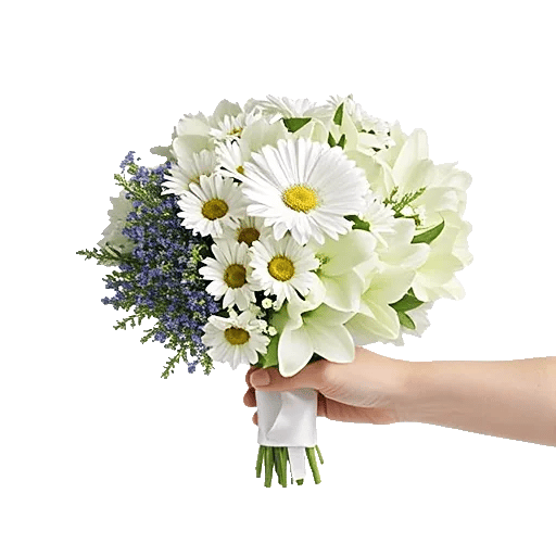 Ivory Garden Grace