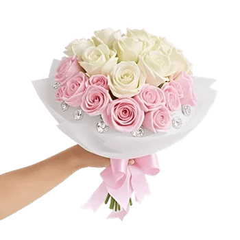 Pastel Pink Roses
