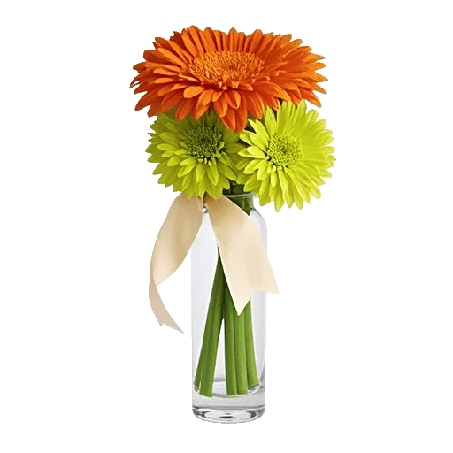 Petal Radiance Bliss