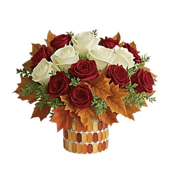 Radiant Rose Symphony
