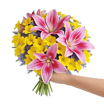 Blossom Petal Serenity