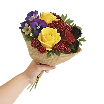 Blossom Harmony Display