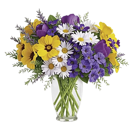 Petal Radiance Bliss