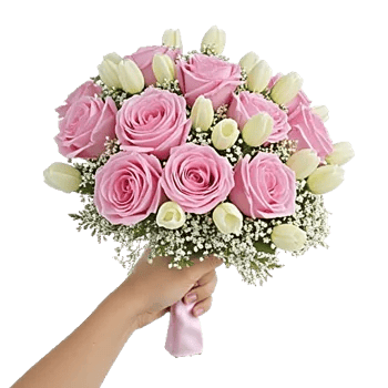 Pastel Pink Roses