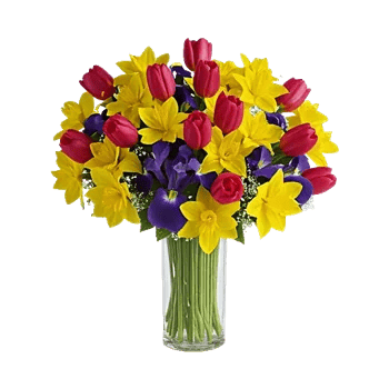 Velvet Tulip Display