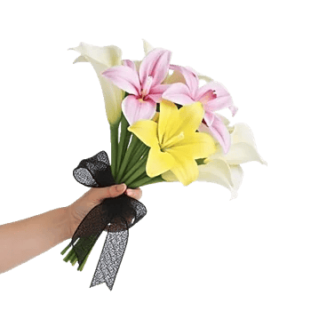Elegant Calla Lilies