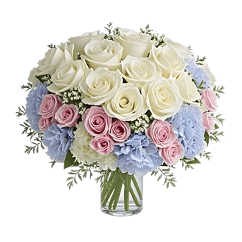 Pink Pastel Roses