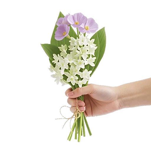 Graceful Lily Display