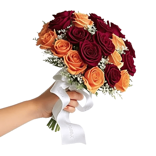 Blushing Rose Symphony