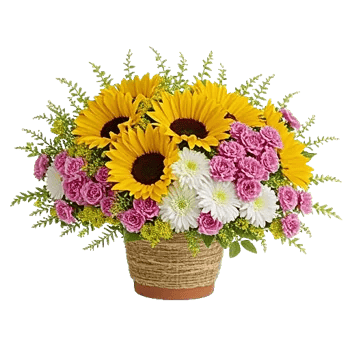 Amber Sunflower Glow