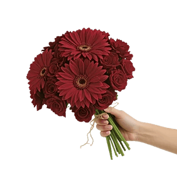 Ruby Petal Cascade