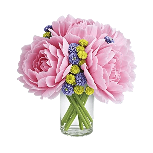 Petal Radiance Bliss