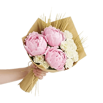 Peony Petal Harmony