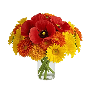 Petal Radiance Bliss