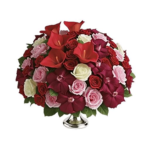 Elegant Calla Lilies