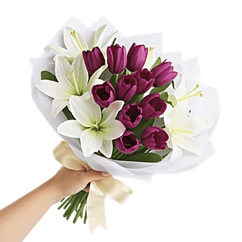 Velvet Tulip Display