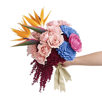 Petal Radiance Bliss