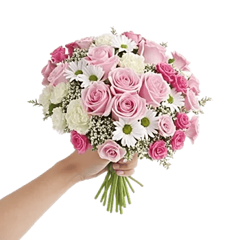 Pink Pastel Roses