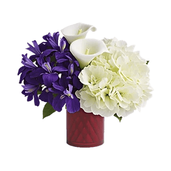 Elegant Calla Lilies