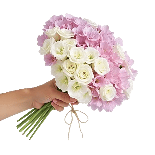 Petal Softness Display