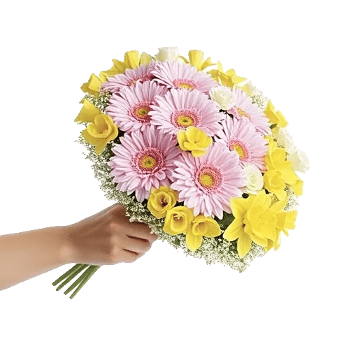 Blossom Harmony Display