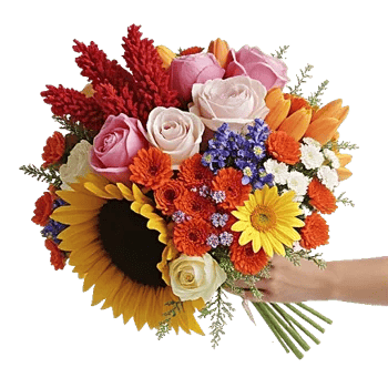 Petal Radiance Bliss
