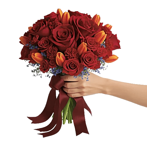Crimson Rose Elegance